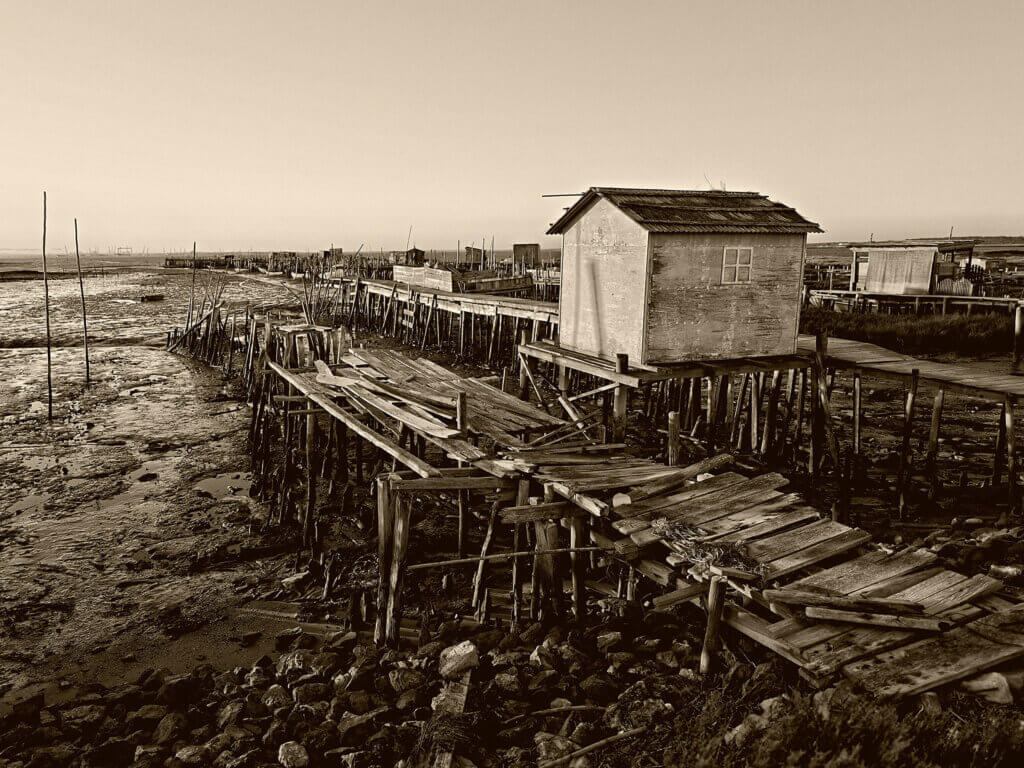 PALAFITO DA CARRASQUEIRA II PREMIO ESPECIAL EVA DE LA FUENTE MATEOS